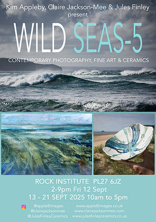 WildSeas5-A5