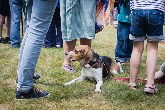 appleBimages-St James Fete-2025_web-88