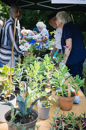 appleBimages-St James Fete-2025_web-50